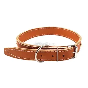 Collier pour chien à clous en cuir, Chien moyen, 66cm