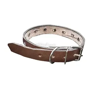 Collier pour chien à clous en cuir, Petit chien, 49cm