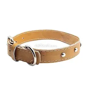 Collier pour chien en cuir, Grand chien, 75cm