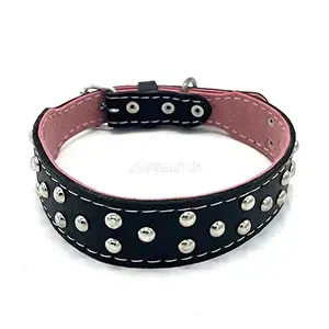 Collier pour chien à clous en cuir, Chien moyen, 60cm