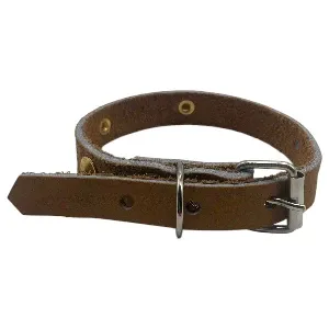 Collier pour chien en cuir à pique, Petit chien, 38 cm