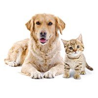 Animalerie