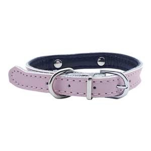 Collier en cuir pour petit chien